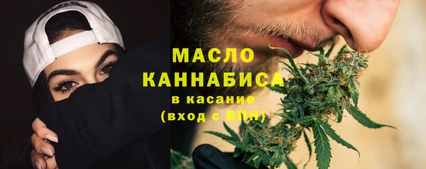 шишки Лабытнанги