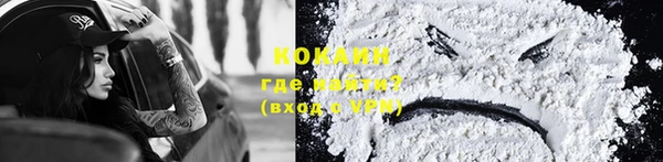 шишки Лабытнанги