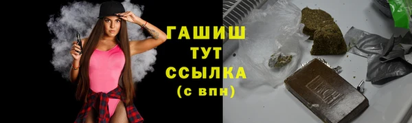 шишки Лабытнанги