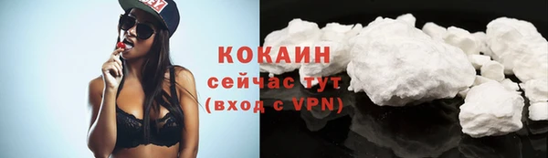 шишки Лабытнанги