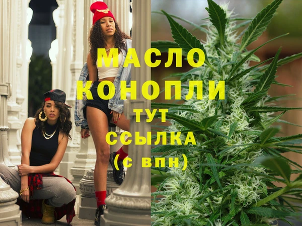 шишки Лабытнанги