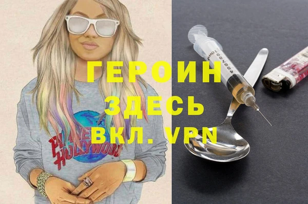 шишки Лабытнанги