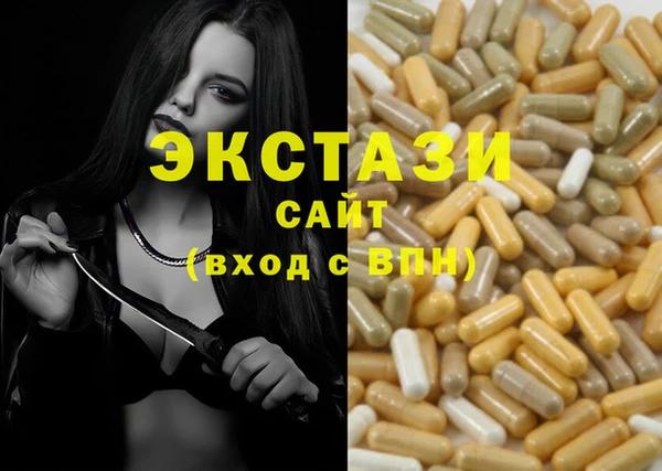 шишки Лабытнанги