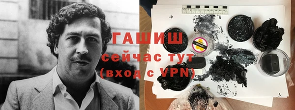 шишки Лабытнанги