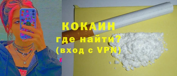 шишки Лабытнанги
